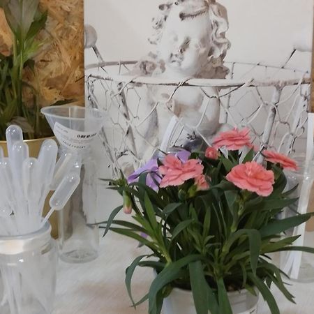 Le Laboratoire Shabby Chic De La Parfumerie Du Manoir Chavagne Exterior photo