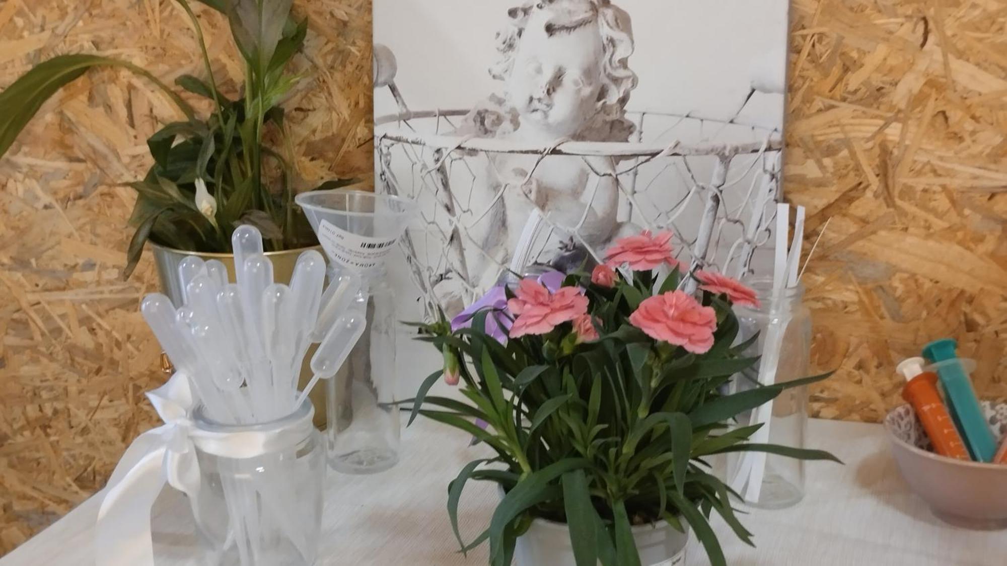 Le Laboratoire Shabby Chic De La Parfumerie Du Manoir Chavagne Exterior photo